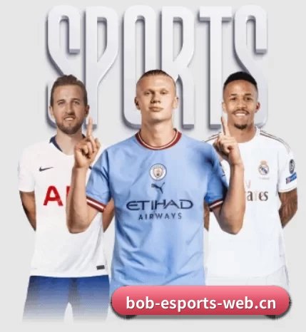 BOB电竞 APP